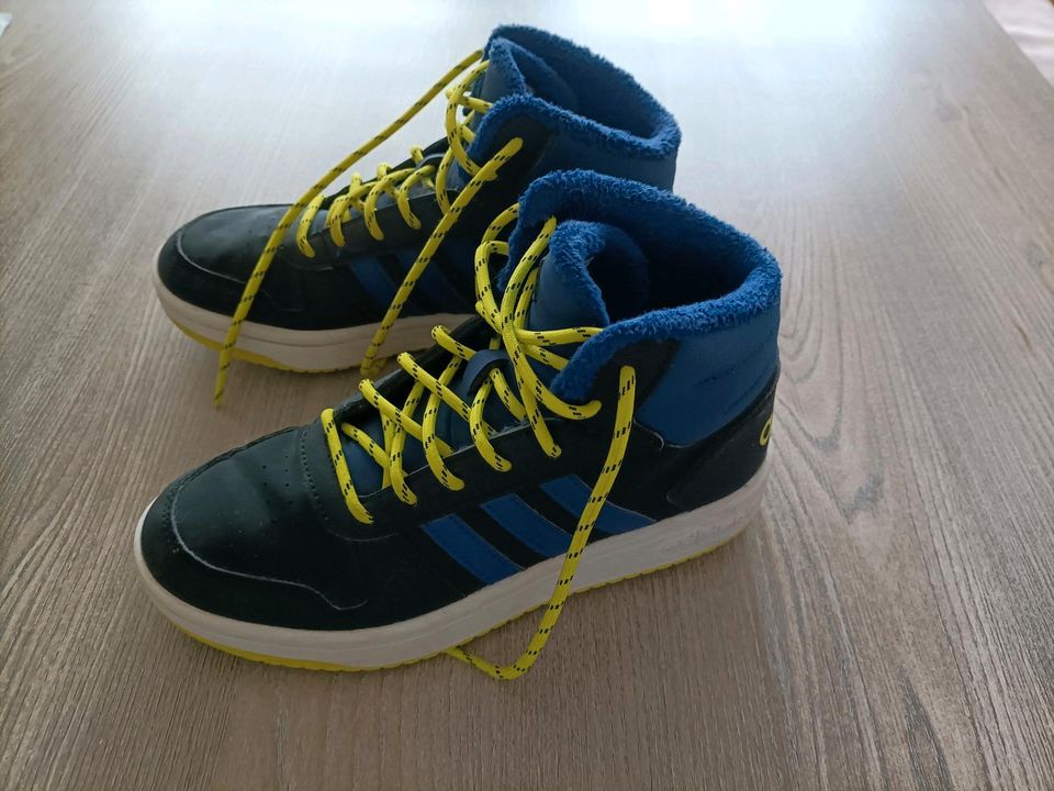 Adidas Sneaker Turnschuhe Gr.36 in Offenau