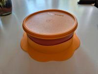 Esslernteller Tupperware Kinderteller NEU!! Baden-Württemberg - Dettenheim Vorschau