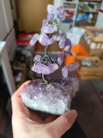 XL Amethyst Bäumchen Baum lila Edelsteine Heilsteine Mineralien Bayern - Creußen Vorschau