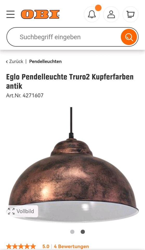 Eglo Pendelleuchte Kupferfarbe in Buchen (Odenwald)