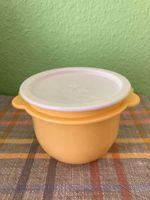 Tupperware Schüssel Gelb 700ml Dresden - Seevorstadt-Ost/Großer Garten Vorschau