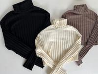 Zara Rollkragenpulli, kurzer Pulli, Gr. S, Pullover Baden-Württemberg - Haiterbach Vorschau