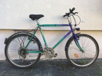 Fahrrad Mountainbike 26 Zoll sofort fahrbereit mit Licht Leipzig - Gohlis-Nord Vorschau