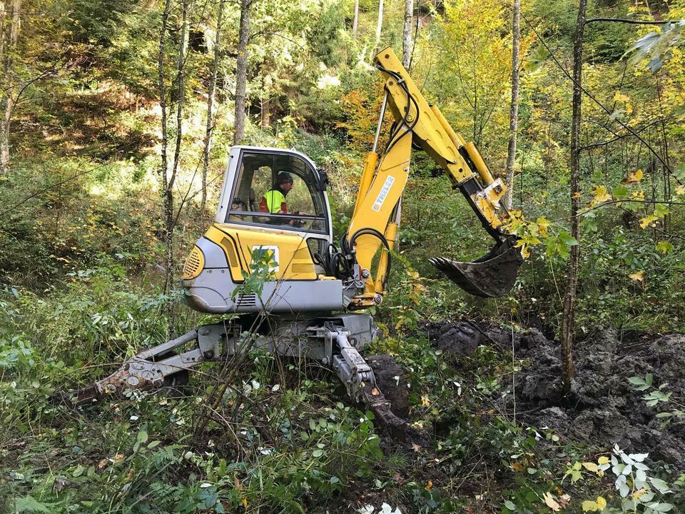 Baumfällung, Rodungen, Wald- & Forstarbeiten, Landschaftpflege in Bad Schussenried