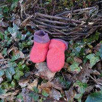 windelfrei geeignet Socken aus Wollfleece Gr. 15 fallen knapp aus Parchim - Landkreis - Plate Vorschau