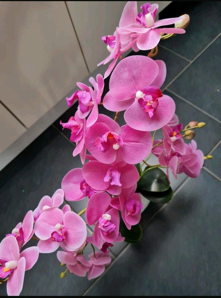 Künstliche Orchidee, üppig und sehr echt in Gelsenkirchen