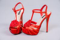 High Heels aus Fotosudio gr. 39 Thüringen - Gera Vorschau