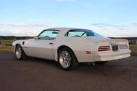Pontiac Trans Am 455-HO Coupe 7,5 L|H-Zul|Seltenheit Bayern - Bergtheim (Unterfranken) Vorschau