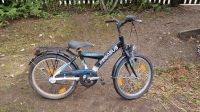 Kinderfahrrad Pegasus, schwarz/blau, 20 Zoll München - Allach-Untermenzing Vorschau