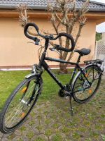 Zündapp Citybike, Fahrrad 28 Zoll Sachsen-Anhalt - Magdeburg Vorschau