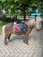 Sattel Shetty Pony incl Versand Niedersachsen - Winsen (Aller) Vorschau