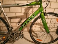 GIANT FCR Fitnessbike Wuppertal - Heckinghausen Vorschau