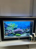 Wand Aquarium mit 80 l mit alle Zubehör Baden-Württemberg - Schorndorf Vorschau