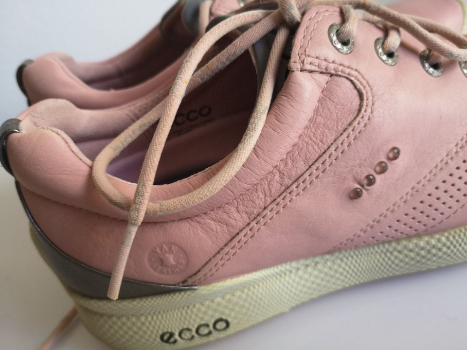 Damen Schuhe Sneaker Danisch Design ECCO Golf Gr 38 rosa Leder in Duisburg  - Friemersheim | eBay Kleinanzeigen ist jetzt Kleinanzeigen