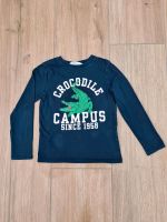 ❤️ Longsleeve Pullover blau Krokodil Gr. 122/128 H&M ❤️ Bayern - Ramsthal Vorschau