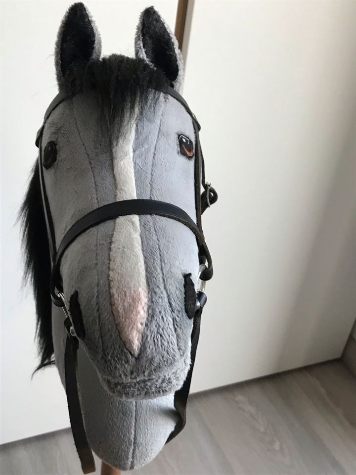 Hobby horse in Eggenstein-Leopoldshafen