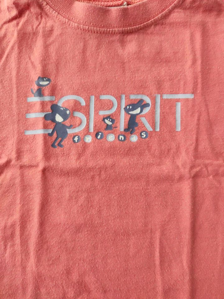 T-Shirt, Shirt Esprit Gr. 68 in Zülpich