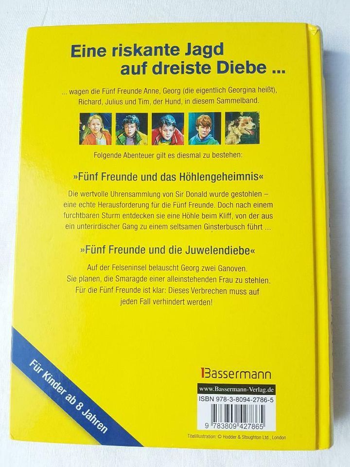 Fünf Freunde, Riskante Jagd auf dreiste Diebe - Doppelband in Eckenroth