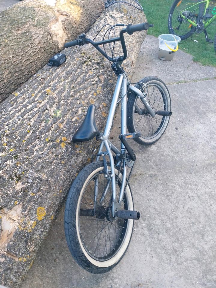 BMX Dyna Bike in Wustrau