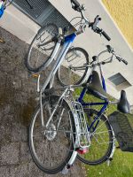 Damenrad von Schauff München - Berg-am-Laim Vorschau
