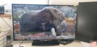 4K PC Monitor 40 Zoll Philips BDM4065UC Stuttgart - Bad Cannstatt Vorschau