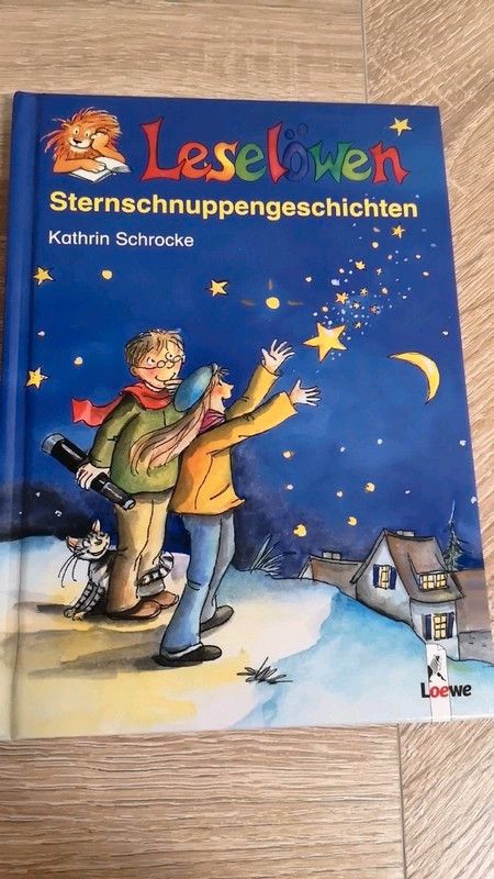 Kinderbuch von Lese Löwen ab 8 Jahre in Zittau