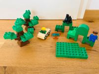 LEGO Duplo Zoo 47 Teile Bäume Konvolut Sachsen - Weischlitz Vorschau