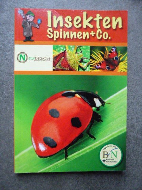 Kinder Wissens Buch " Insekten, Spinnen & Co" wir räumen in Wolfach