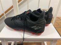 Fußball-Schuhe Nockenschuhe Kipsta Gr. 43 - Neuwertig Hessen - Walluf Vorschau