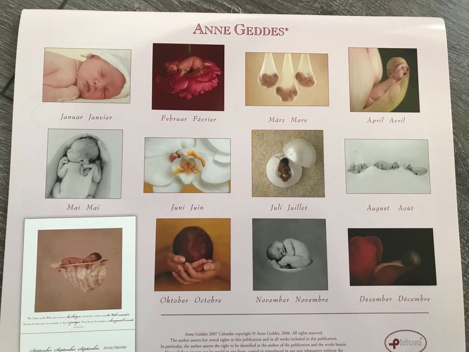 Anne Geddes Baby Kalender 2007 zu verschenken Bilder Poster in Osterode am Harz