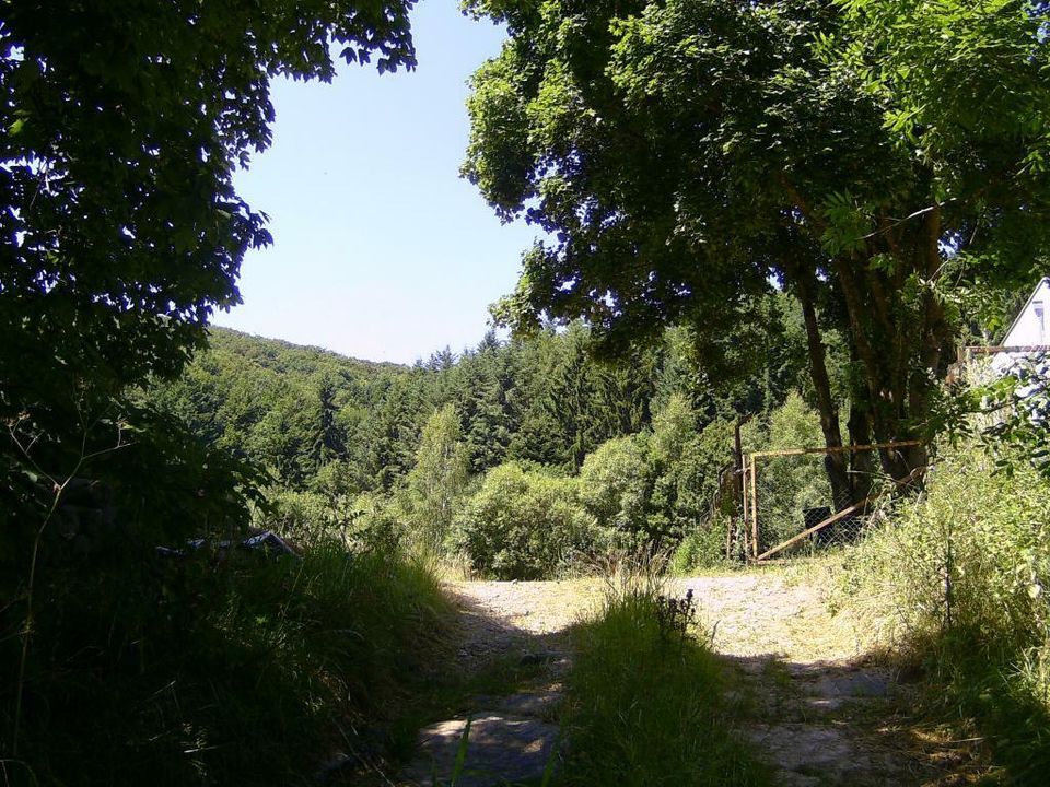 Ferienwohnungen  in der Eifel in Prüm