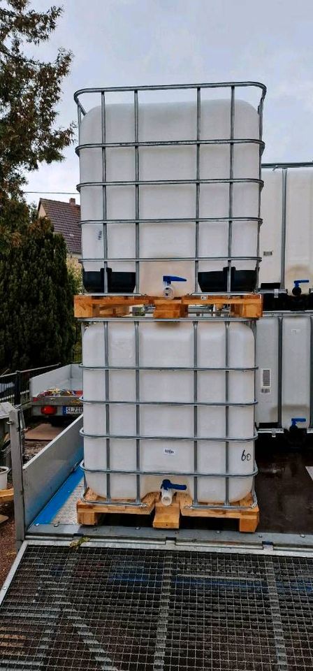 IBC Container 1000l Neuwertig Regenfass Wasserfass Holzpalette in Barchfeld