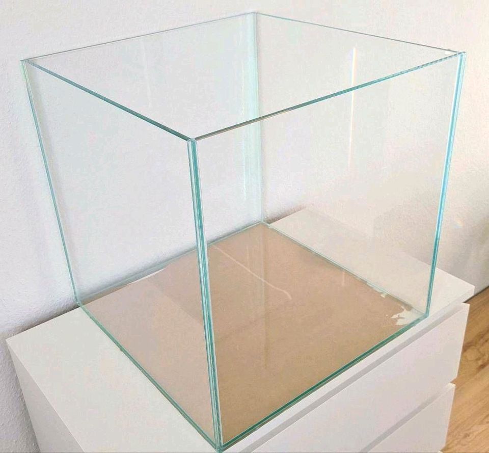 50x50x50 Aquarium 125l Cube Würfel Diskus, auch Weißglas NEU Riff in  Niedersachsen - Bad Nenndorf | eBay Kleinanzeigen ist jetzt Kleinanzeigen