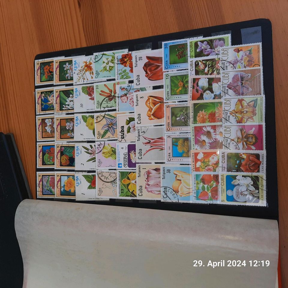 Briefmarken Sammlung in Süderholz