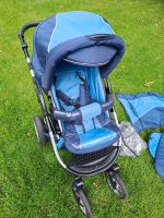 Kinderwagen Brandenburg - Wilmersdorf bei Pritzwalk Vorschau