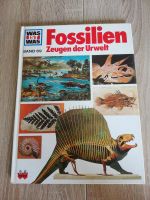 Buch was ist was (Fossilien) Band 69 Schleswig-Holstein - Ahrensburg Vorschau