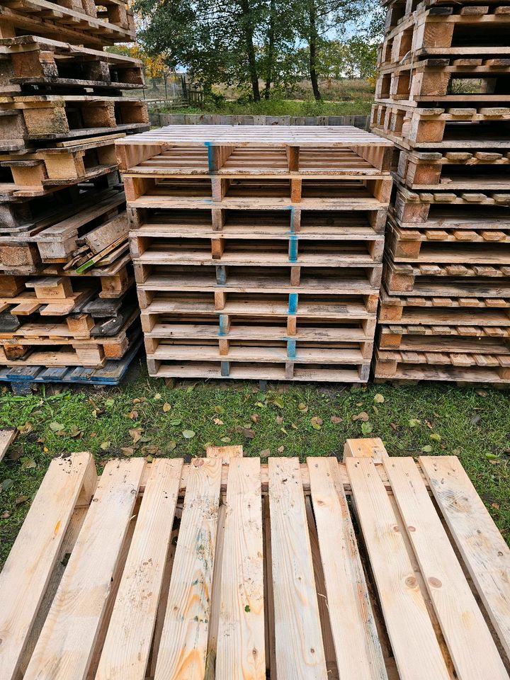 Paletten Einwegpaletten Gartenmöbel in Gardelegen  