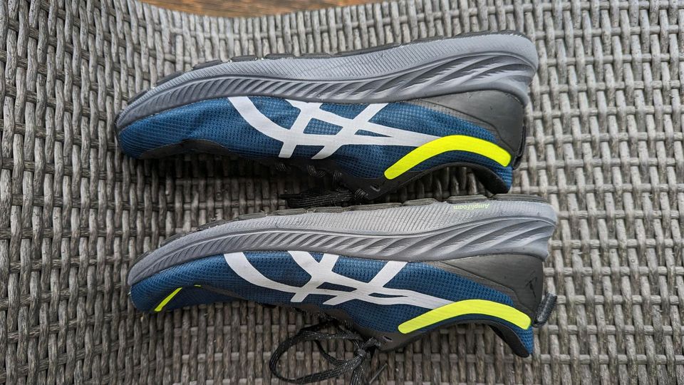 Asics Gel-Excite 8 AWL Laufschuhe in Augsburg