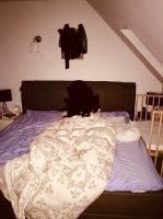 Hochwertiges Boxspringbett 180x200cm Nordrhein-Westfalen - Iserlohn Vorschau