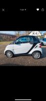 Smart ForTwo fortwo coupe Micro Hybrid Drive Scheckheï Köln - Pesch Vorschau