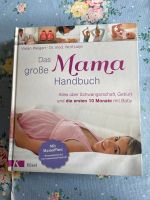 „Das große Mama Handbuch“ über Schwangerschaft, Stillzeit,… ❤️ Niedersachsen - Emmerthal Vorschau