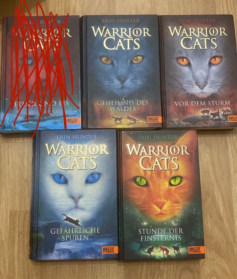 Warrior Cats Band 3-6 in Gremmendorf