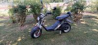 SCOOTER E-THOR 2.05 DAYI MOTOR Rostock - Lichtenhagen Vorschau