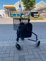 Rollator / 3rädriger Rollator Nordrhein-Westfalen - Schlangen Vorschau