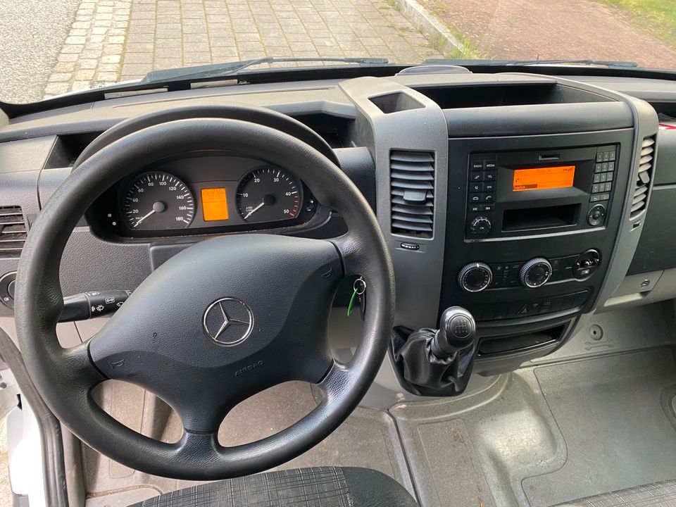Mercedes Sprinter Maxi 313 cdi in Geesthacht