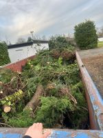 Gartenpflege, Mäharbeiten, Grünschnitt, Garten Arbeit Aachen - Aachen-Mitte Vorschau