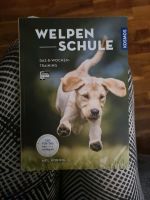 Buch Welpenschule Das 8 Wochen Training Mel Koring Neu!!! Bayern - Immenstadt Vorschau