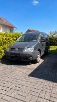 VW Caddy 1.6 LPG Autogas Getriebeschaden Nordrhein-Westfalen - Detmold Vorschau