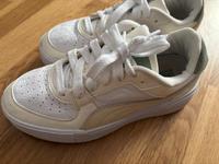 Puma Schuhe Leipzig - Gohlis-Nord Vorschau