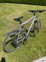 Fahrrad Focus Lost Lagoon, 28 Zoll, Sachsen - Rammenau Vorschau